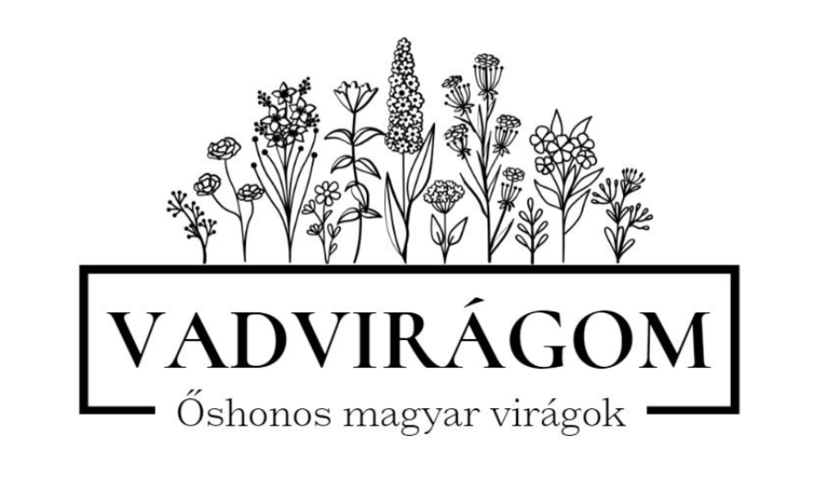 vadviragom_logo