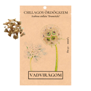 Csillagos ördögszem (Scabiosa stellata) 1g, ~35 mag