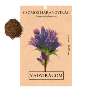 Csomós harangvirág (Campanula glomerata) 1 g, ~10000 mag
