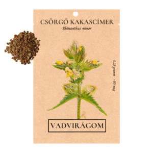 Csörgő kakascímer (Rhinanthus minor) 0,25g, ~80 mag