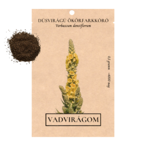 Dúsvirágú ökörfarkkóró (Verbascum densiflorum) 0,5g, ~4000 mag