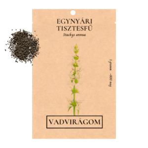 Egynyári tisztesfű/tarlóvirág (Stachys annua) 1g, ~800 mag