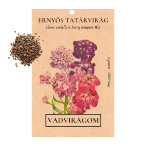 Ernyős tatárvirág (Iberis umbellata „Fairy Bouquet mixed”) 5g, ~2000 mag