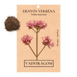 Ernyős verbéna mag (Verbena bonariensis) 0,5g / 5 g