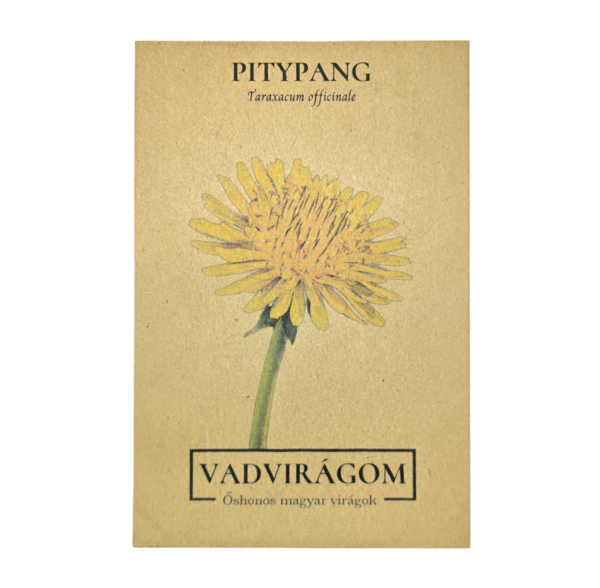 Pitypang, gyermekláncfű - Taraxacum officinale - őshonos magyar vadvirág mag