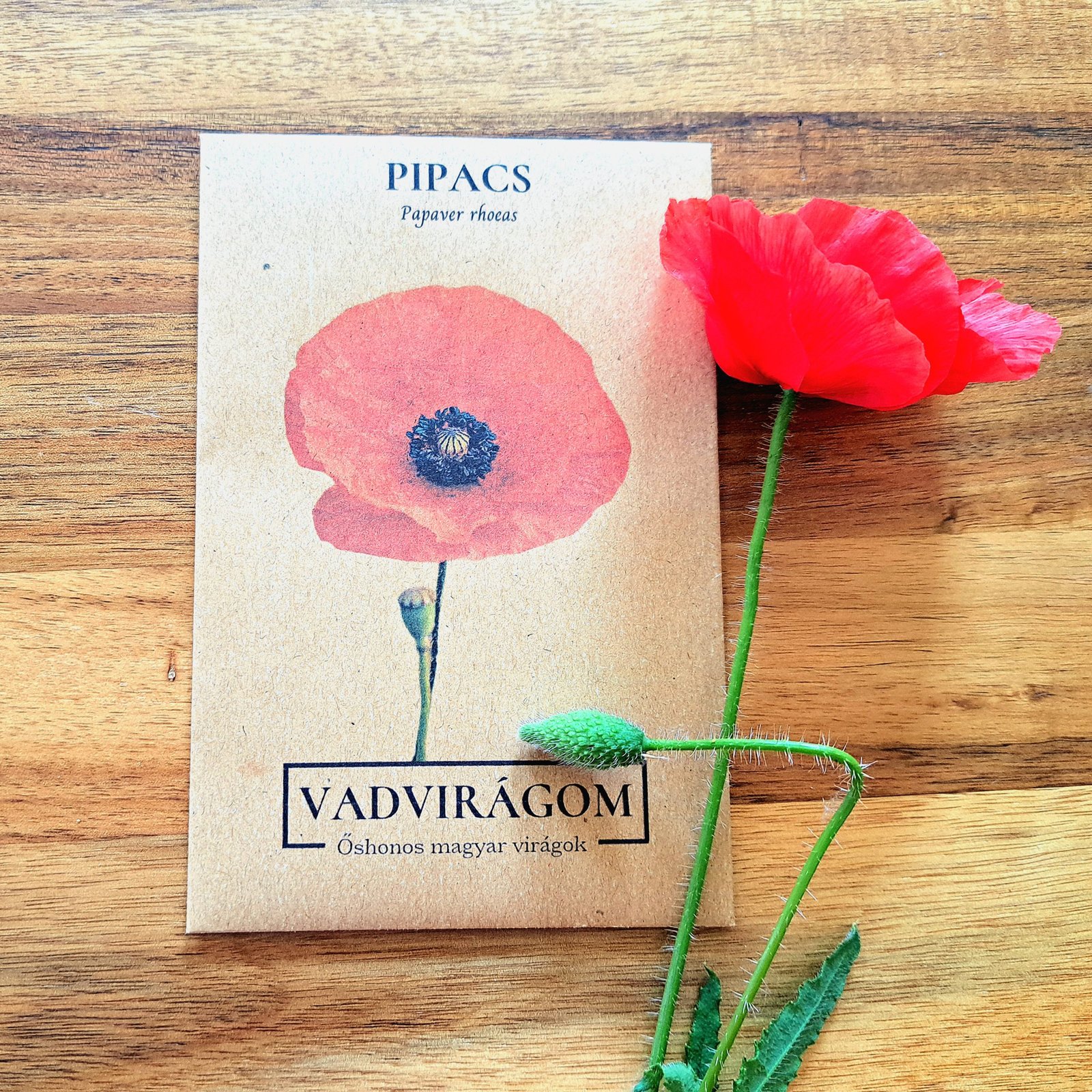pipacs, papaver rhoeas, magyar vadvirág