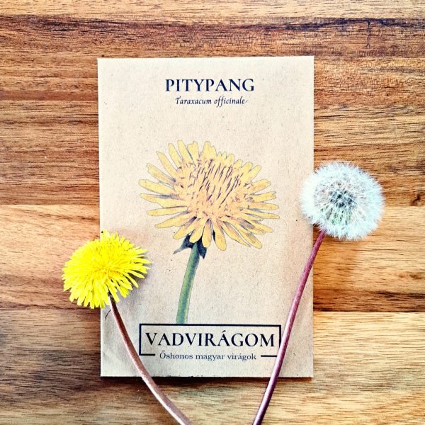 Pitypang, gyermekláncfű - Taraxacum officinale - őshonos magyar vadvirág mag