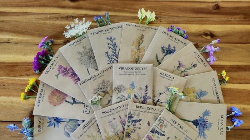Vadvirágom - őshonos magyar vadvirágok és beporzóvonzó és méhlegelő magkeverékek