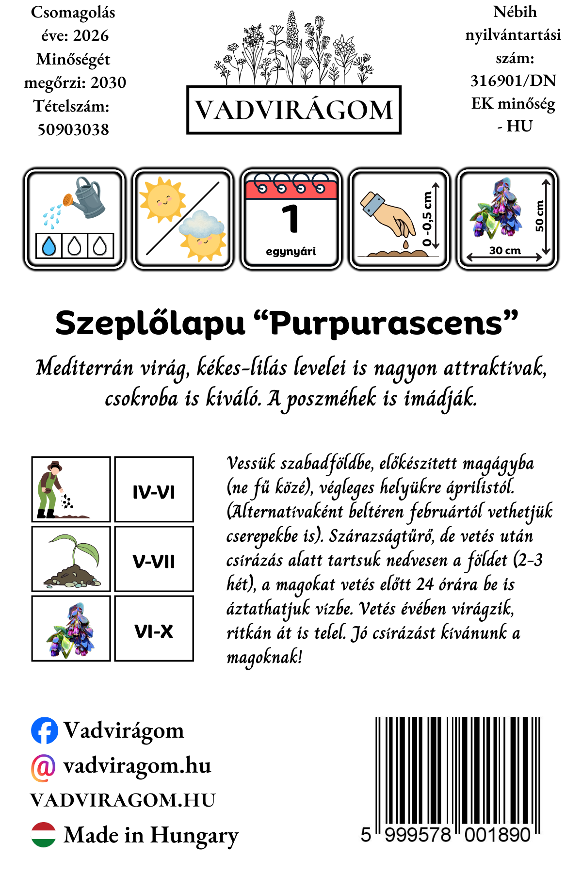 szeplőlapu - Cerinthe major "Purpurascens" - őshonos európai virág
