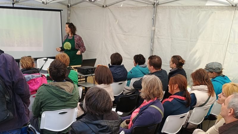 Vadvirágos előadás a Tavaszkerten 2024-ben