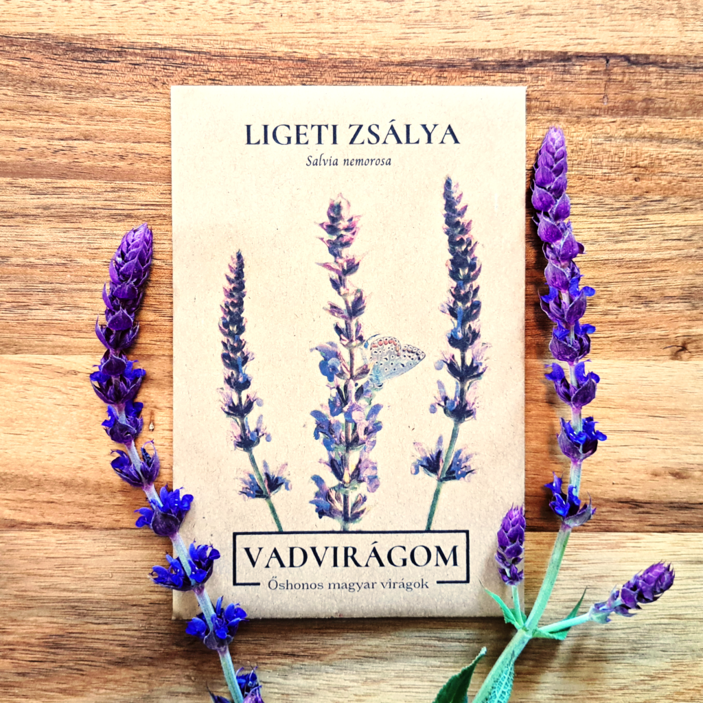 Salvia nemorosa - ligeti zsálya