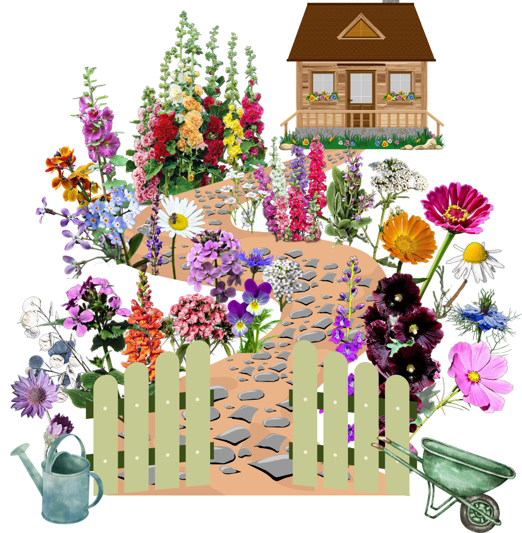 Mama kertje - nosztalgikus virágok régi parasztkertek virágai magkeverék