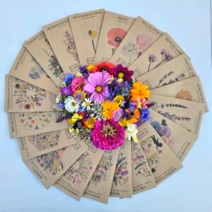 AJÁNDÉK KERTÉSZEKNEK – fa díszdobozban – 20 tasak, 60 gramm virágmag