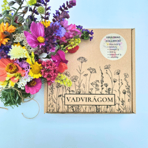 AJÁNDÉK KERTÉSZEKNEK – karton díszdobozban – 5 tasak, 21 gramm virágmag