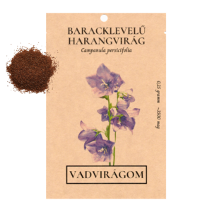 Baracklevelű harangvirág (Campanula persicifolia) 0,25 g, ~3500 mag