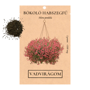 Bókoló habszegfű (Silene pendula) 2g, ~2200 mag