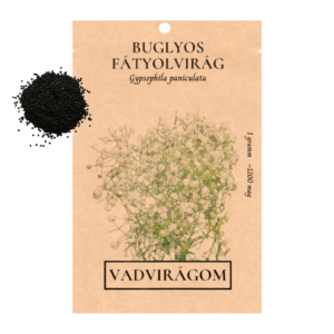Buglyos fátyolvirág (Gypsophila paniculata) 1g, ~1200 mag