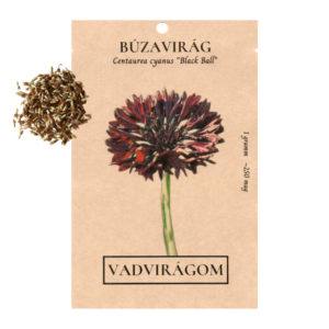 Búzavirág – fekete (Centaurea cyanus „Black Boy”) 1g, ~250 mag