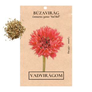 Búzavirág – rózsaszín (Centaurea cyanus „Red Ball”) 1g, ~250 mag
