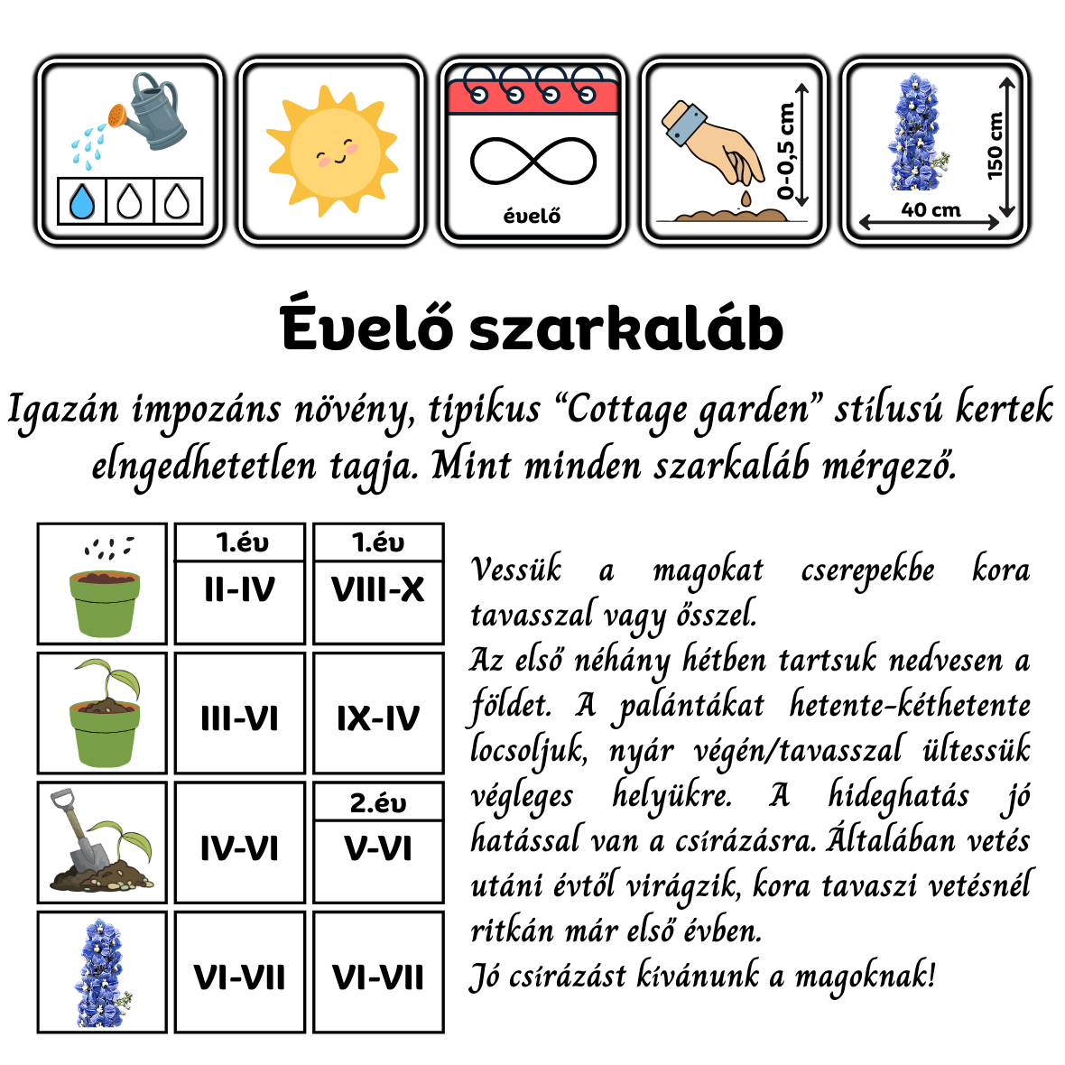 Évelő szarkaláb - Delphinium x cultorum Pacific mixed - virágmag