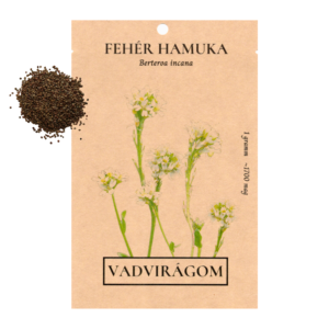 Fehér hamuka (Berteroa incana) 1g, ~1700 mag