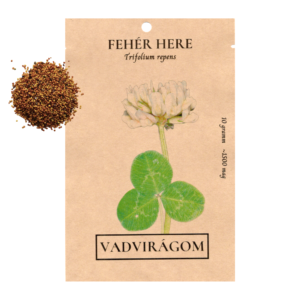Fehér here mag (Trifolium repens) 10g / 100g / 500g