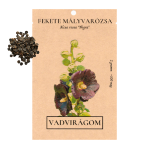 Fekete mályvarózsa (Alcea rosea „Nigra”) 2g, ~100 mag