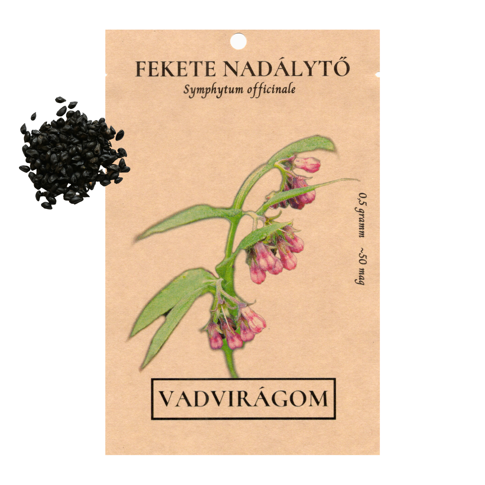 fekete nadálytő - Symphytum officinale - őshonos magyar gyógynövény