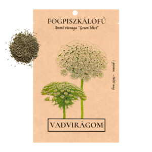 Fogpiszkálófű (Ammi visnaga „Green Mist”) 1 gramm, ~1600 mag