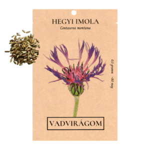 Hegyi imola (Centaurea montana) 0,5 g, ~80 mag