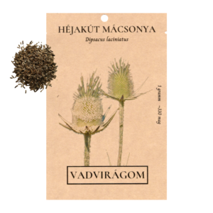 Héjakút mácsonya (Dipsacus laciniatus) 1g, ~330 mag
