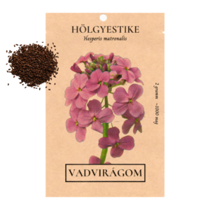 Hölgyestike (Hesperis matronalis) – 2g, ~1000 mag