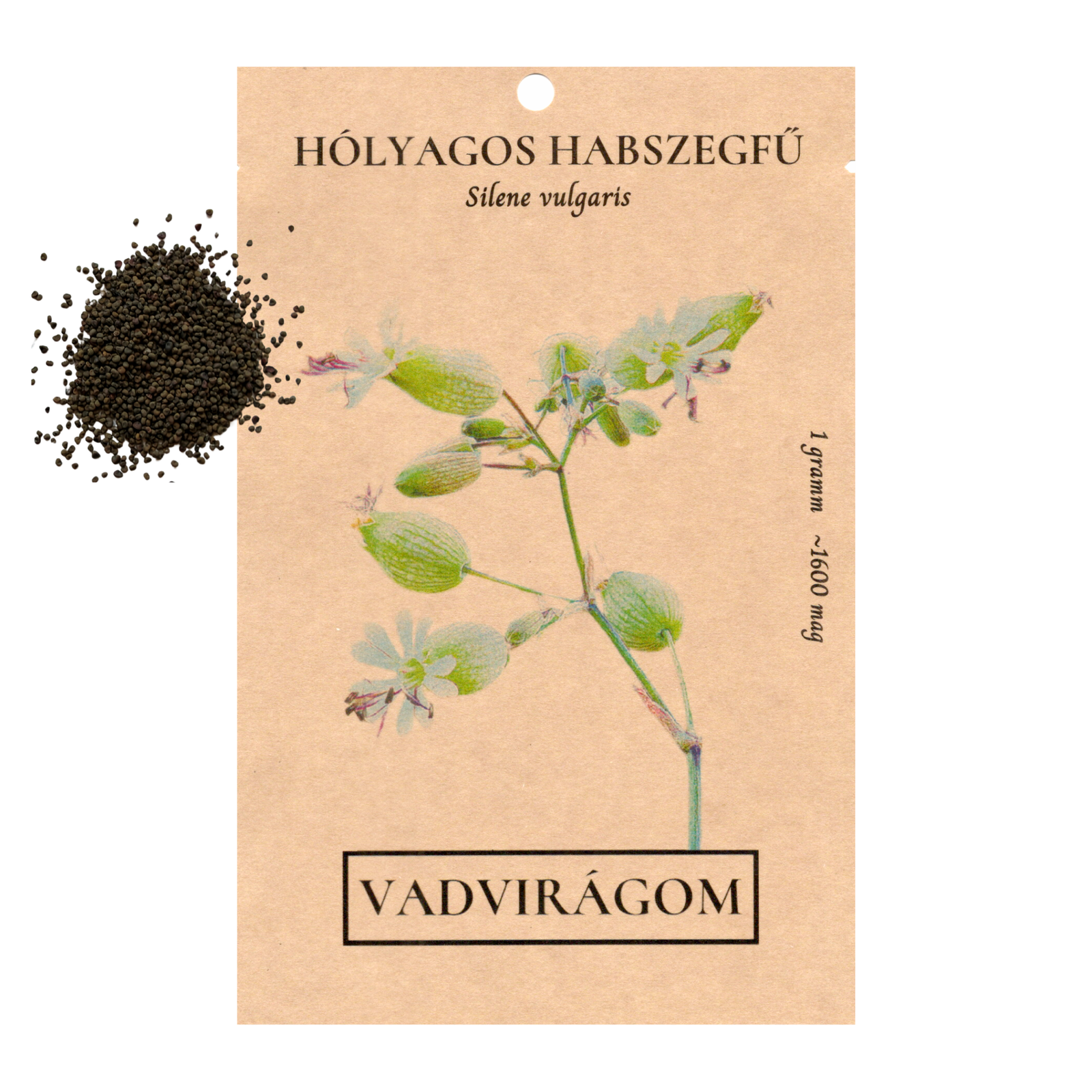 hólyagos habszegfű - Silene vulgaris - őshonos magyar vadvirág mag