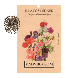 Illatos lednek (Lathyrus odoratus „Old Spice”) 5g, ~60 mag
