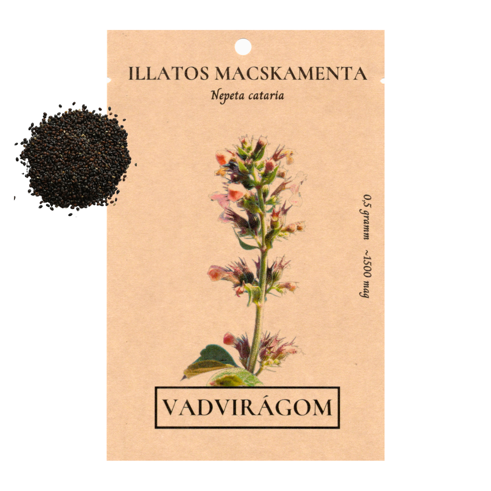 Illatos macskamenta - Nepeta cataria - őshonos magyar vadvirág, gyógynövény