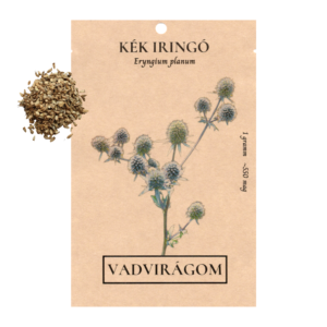 Kék iringó (Eryngium planum) 1g, ~550 mag
