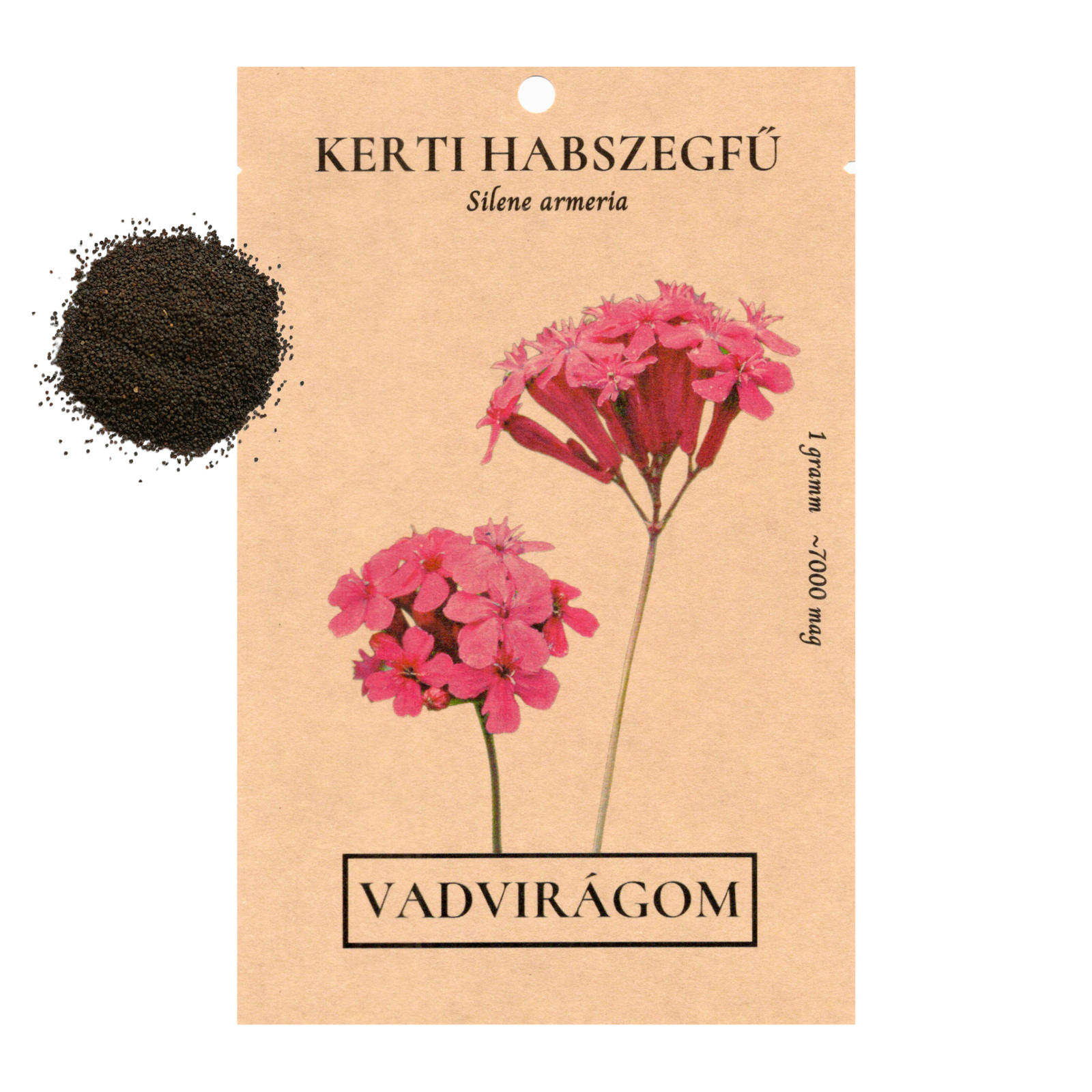 Kerti habszegfű - Silene armeria - őshonos európai vadvirág