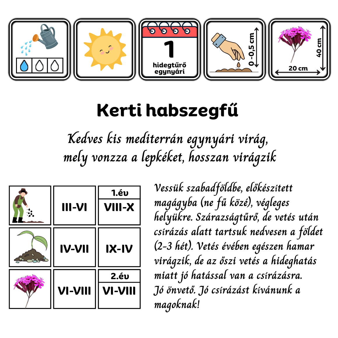 Kerti habszegfű - Silene armeria - őshonos európai vadvirág