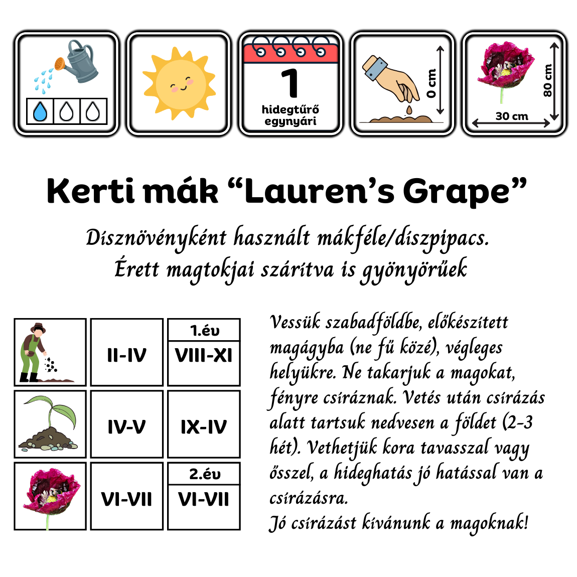 Kerti mák (Papaver somniferum "Lauren's Grape") 0,25g, ~800 mag - Image 3
