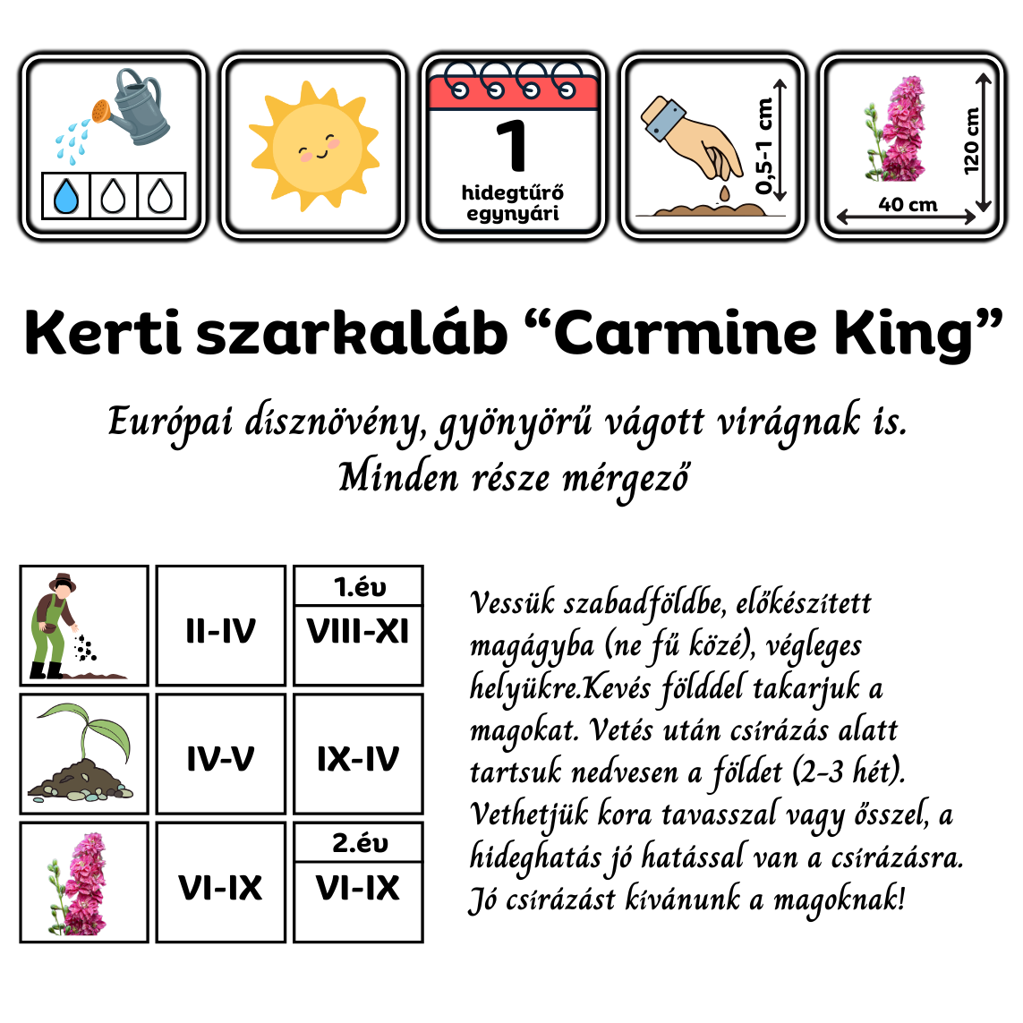kerti szarkalab - Consolida ajacis "Carmine King" - őshonos európai virág