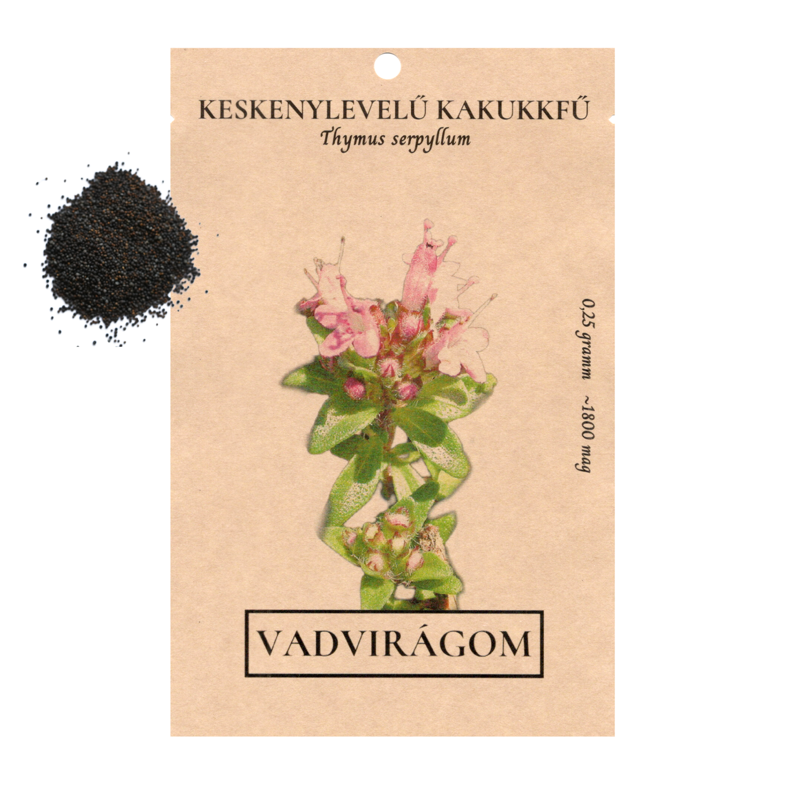 keskenylevelű kakukkfű - Thymus serpyllum - őshonos magyar vadvirág fűszer gyógynövény mag