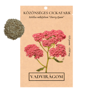 Közönséges cickafark mag (Achillea millefolium „Cherry Queen”) 0,25g ~1700 mag