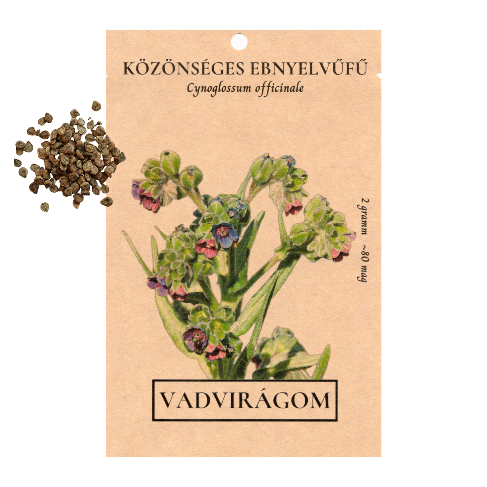 közönséges ebnyelvűfű - Cynoglossum officinale - őshonos magyar vadvirág