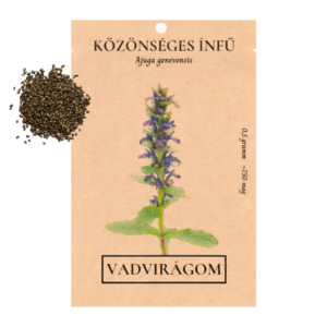 Közönséges ínfű (Ajuga genevensis) 0,5g, ~750 mag