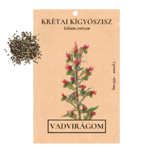 Krétai kígyószisz (Echium creticum) 2g, ~650 mag