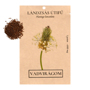Lándzsás útifű (Plantago lanceolata) 2g, ~1000 mag