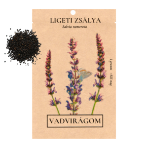 Ligeti zsálya mag (Salvia nemorosa) 1g / 10g