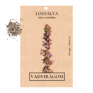 Lózsálya (Salvia verticillata) 0,5g, ~500 mag