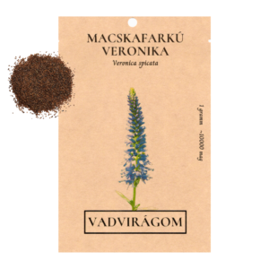Macskafarkú veronika (Veronica spicata) 1g, ~10.000 mag