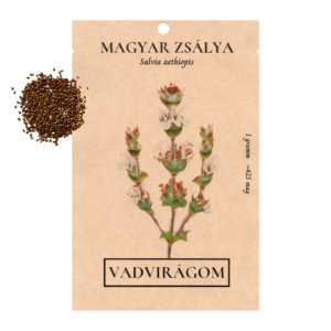Magyar zsálya (Salvia aethiopis) 1g, ~425 mag